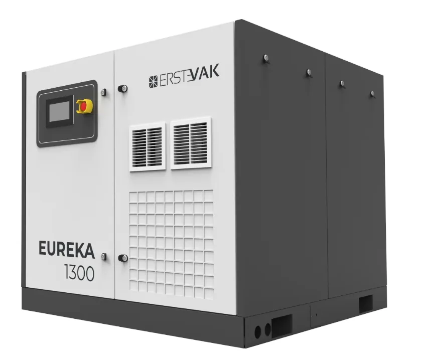 Винтовой масляный вакуумный насос ERSTEVAK EUREKA 950